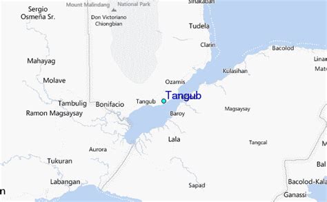 Detailed Satellite Map of Tangub .
